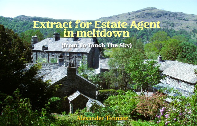 Estate agent in meltdown